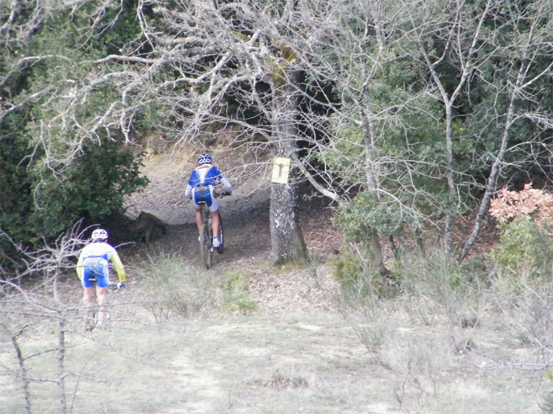 gal/2010/03 - La Via delle Miniere 2010/Poggio della Fornace/DSCF0831-01.jpg